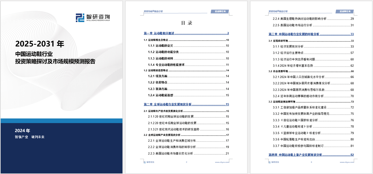 资前景研究报告（2025-2031年）球盟会app中国运动鞋行业发展现状及投(图2)