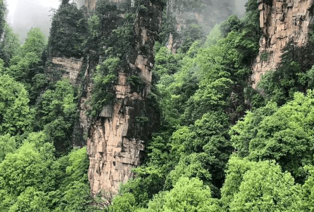 安排高品质行程？张家界四日游优质路线球盟会最新去张家界旅游四天需要怎么(图1)