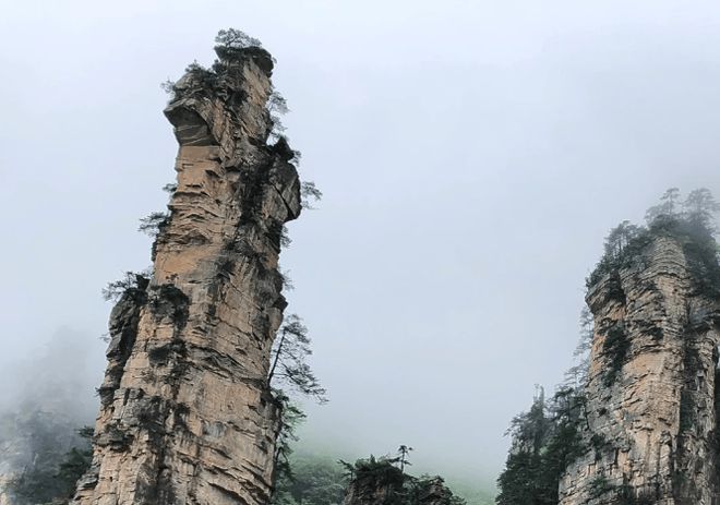 安排高品质行程？张家界四日游优质路线球盟会最新去张家界旅游四天需要怎么(图3)